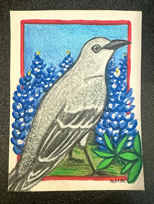 Mockingbird + Bluebonnets