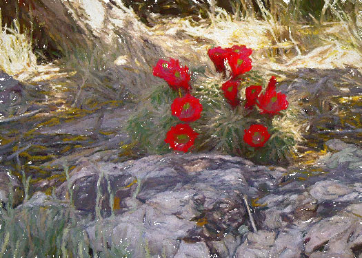 Monthly Contest - Castus