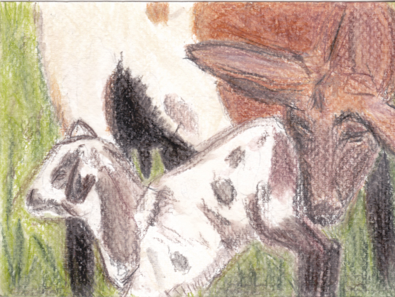 Mother & Child Postcard