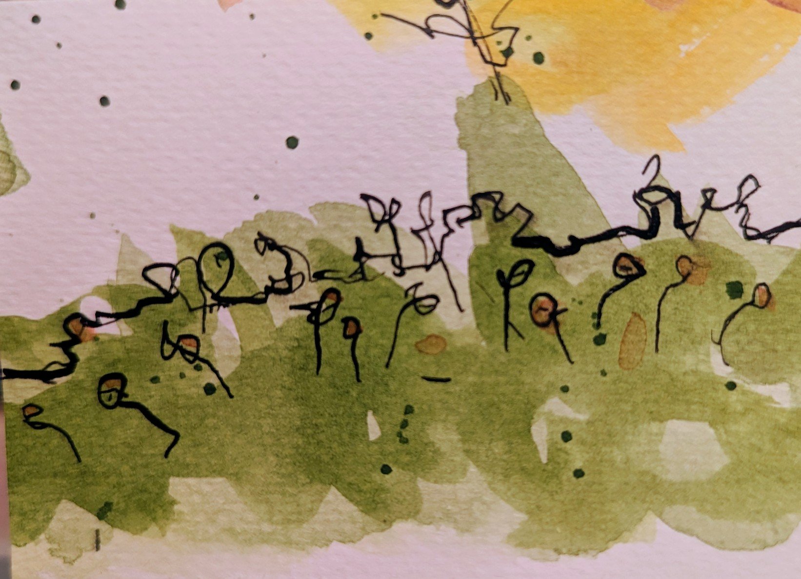 Mountain Bloom