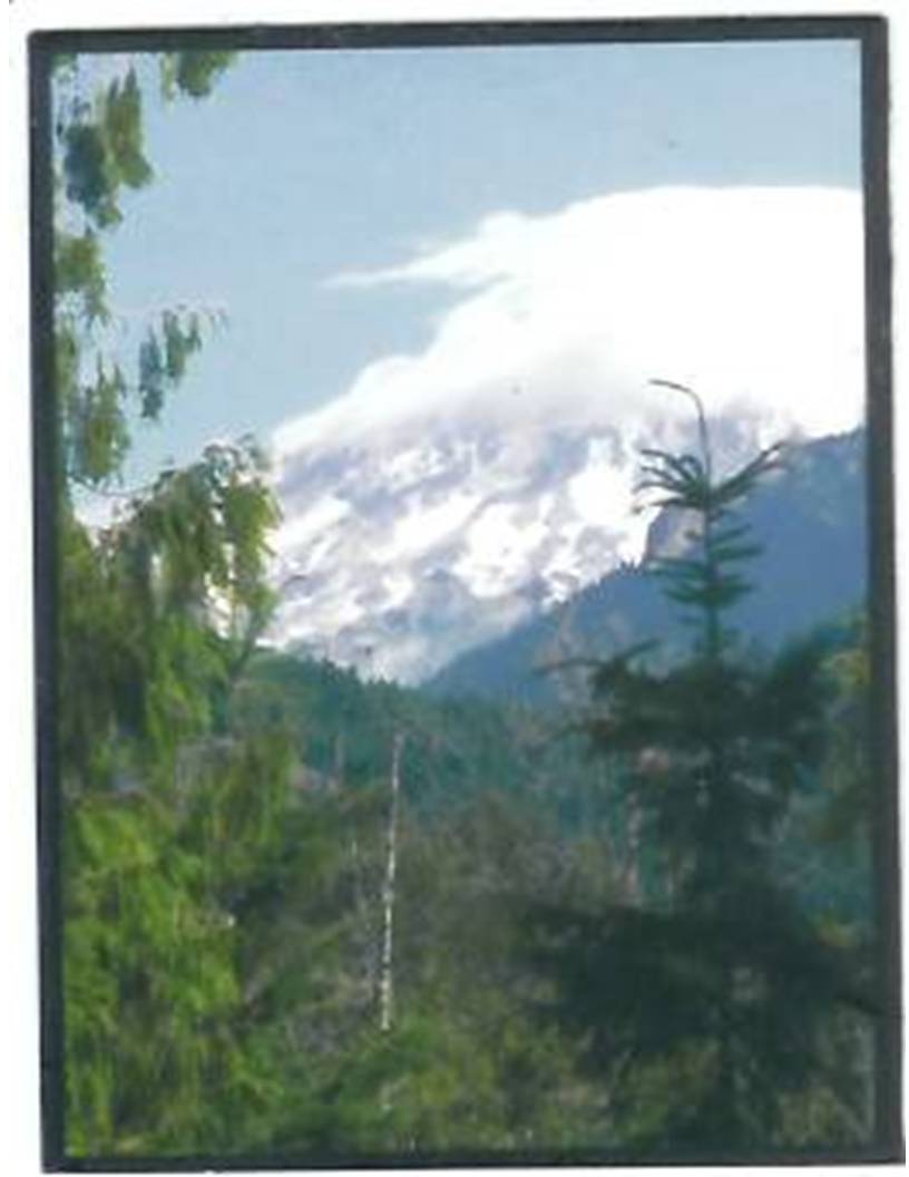 Mt. Rainier Wa.
