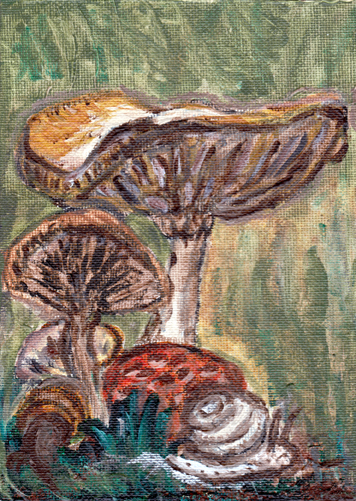 Mushrooms and a Snail