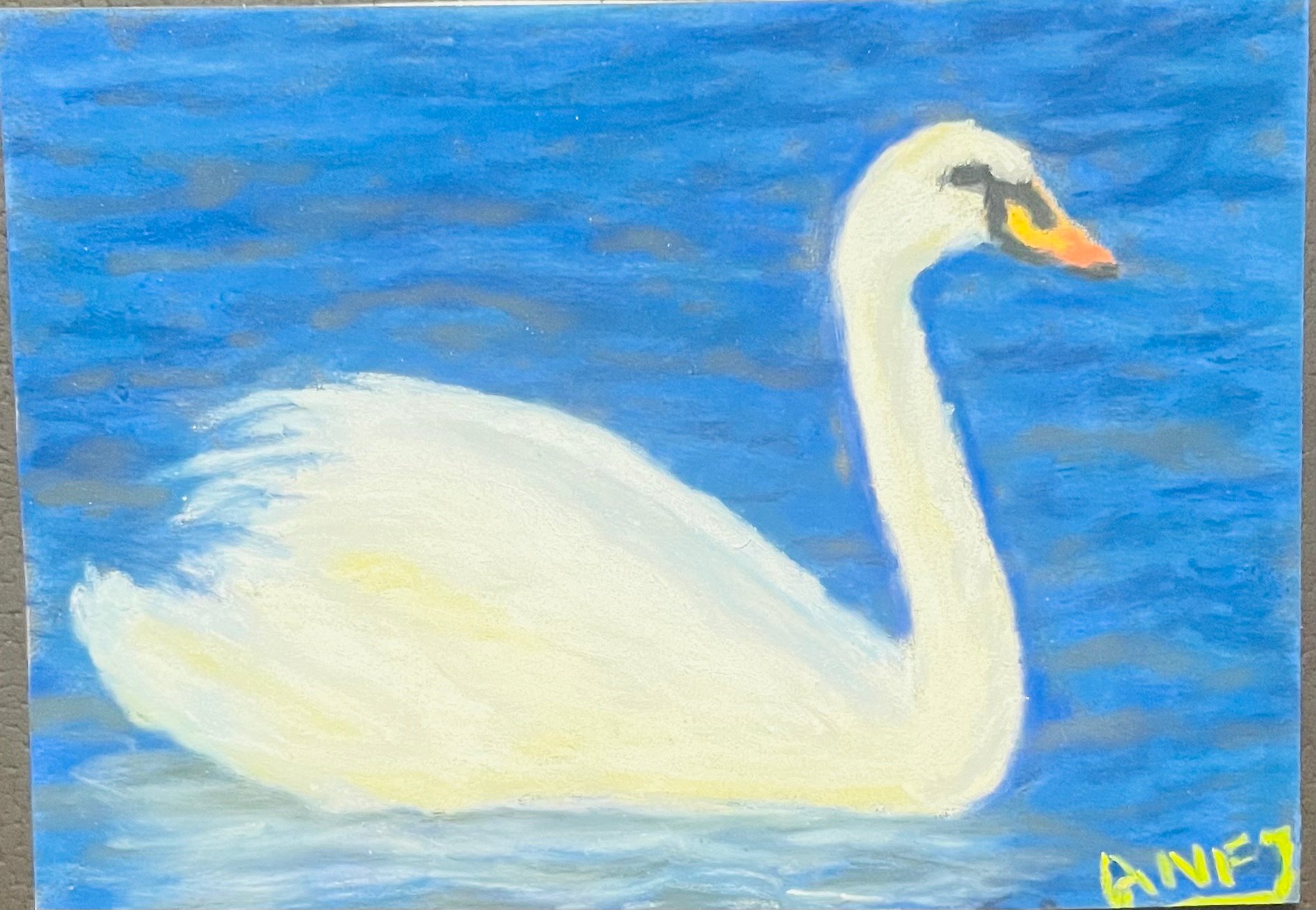 Mute Swan.jpeg