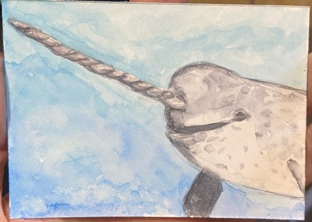 N if for Narwhal.jpeg