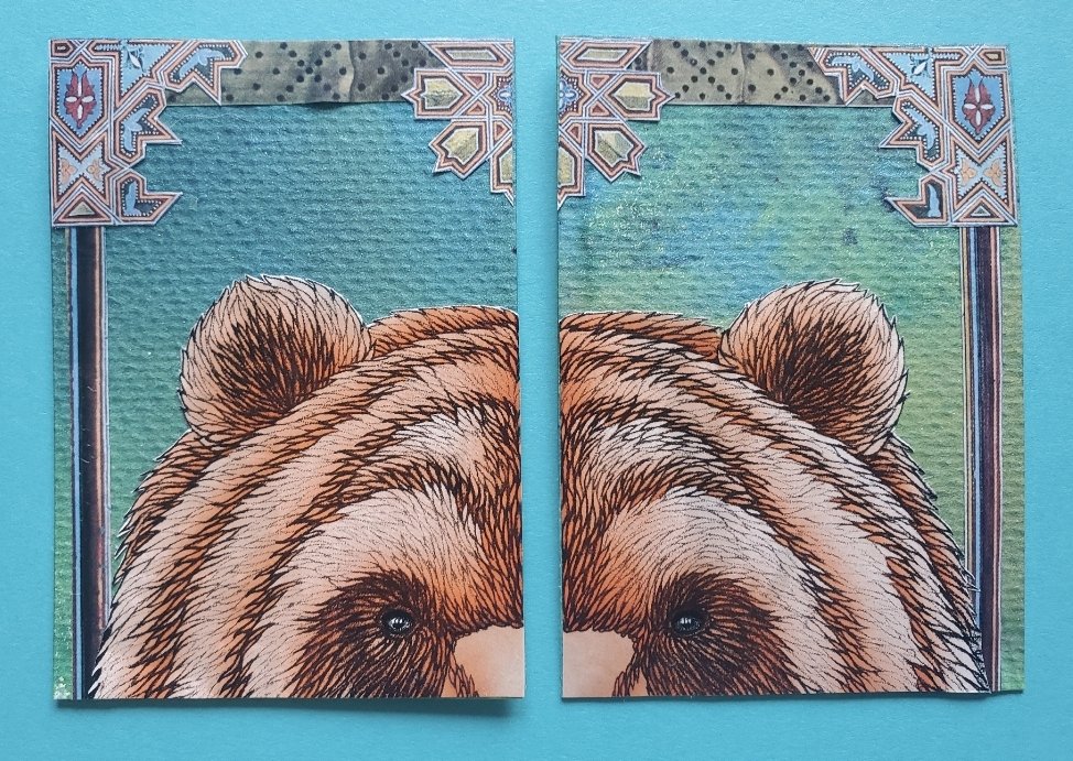 Natgeo Bear