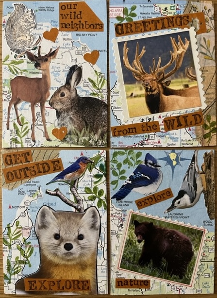 North American Animal Swap