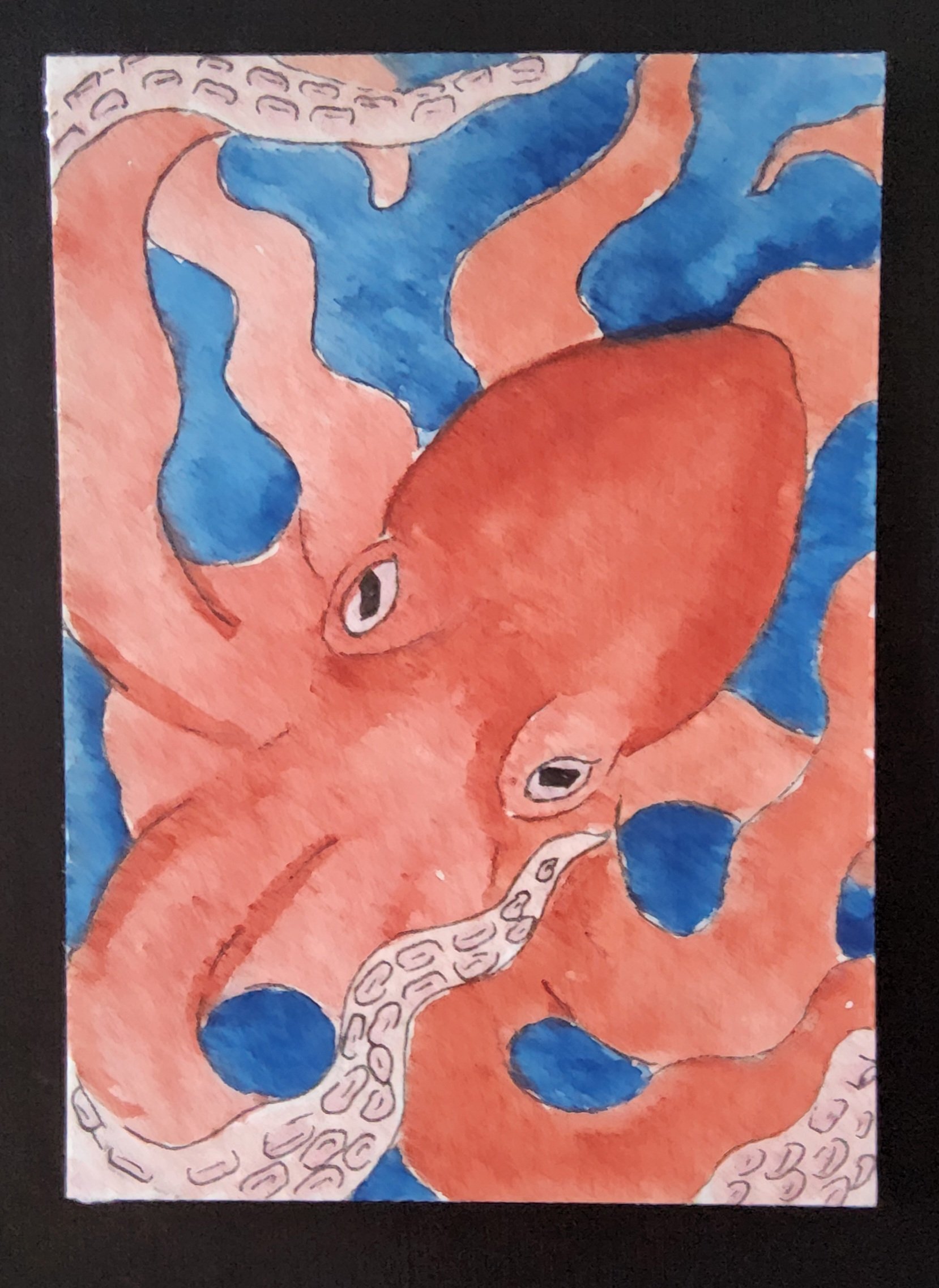 Octopus