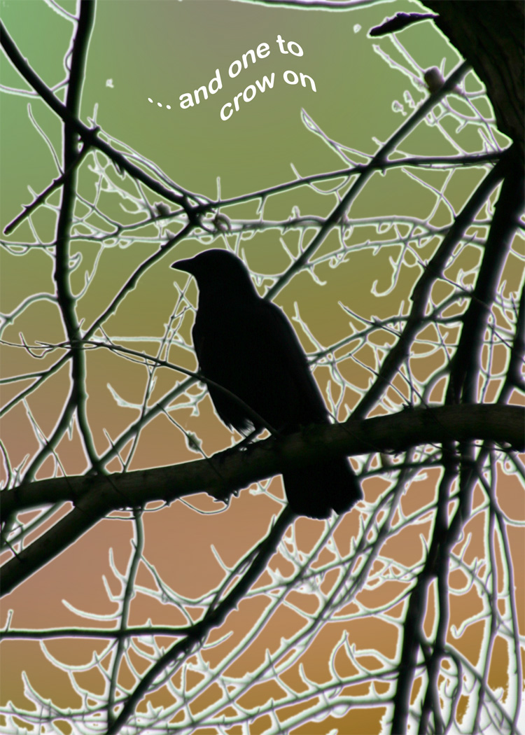"One to Crow On" (fall)