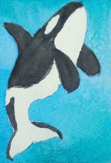 orca