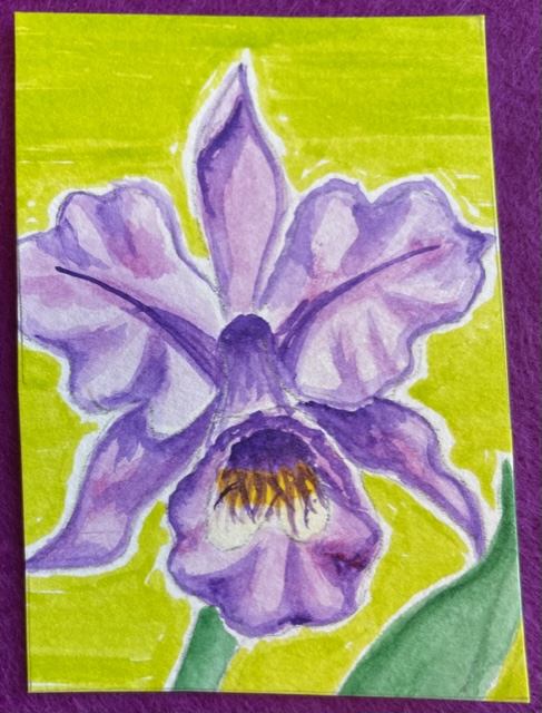 "Orchid" for Mid-Feb. PAT