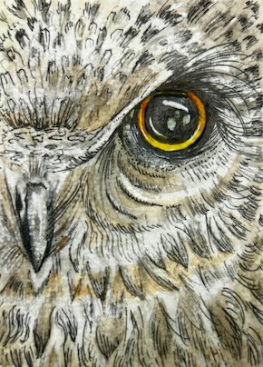 Owl Eye ATC - Traded