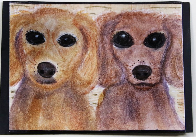 Pals
