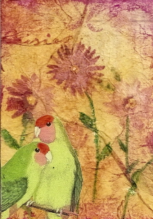 Parrots & Daisies