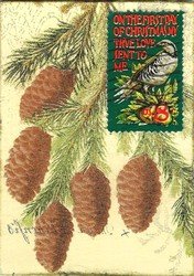 PCNY Partidge in Pine Tree