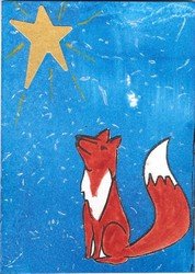 PCNY Stargazing Fox
