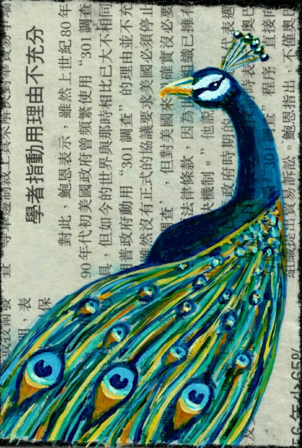 Peacock