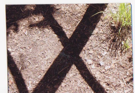 Photo ATCs:X Factor