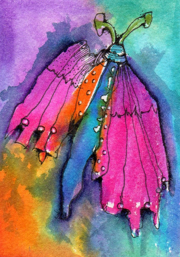 "Pink and Orange Butterfly" April Monthly Contest