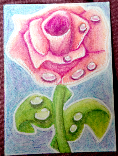 Pink Rose