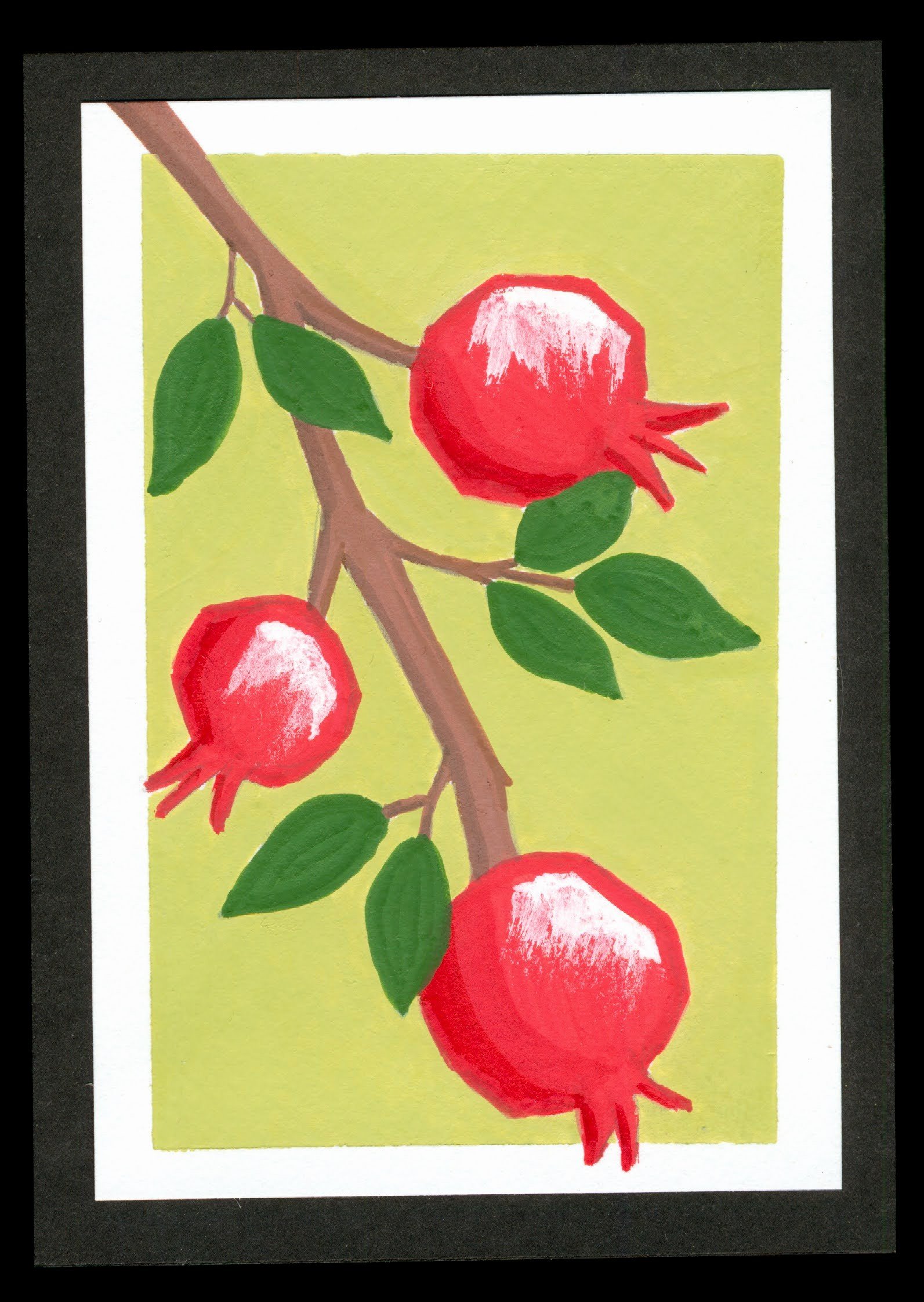 Pomegranate