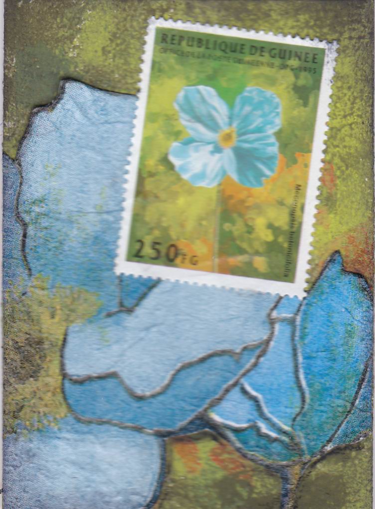 PS ATHON 4 blue flowers