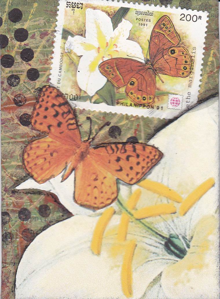 PS ATHON 5 orange butterflies with white lilies