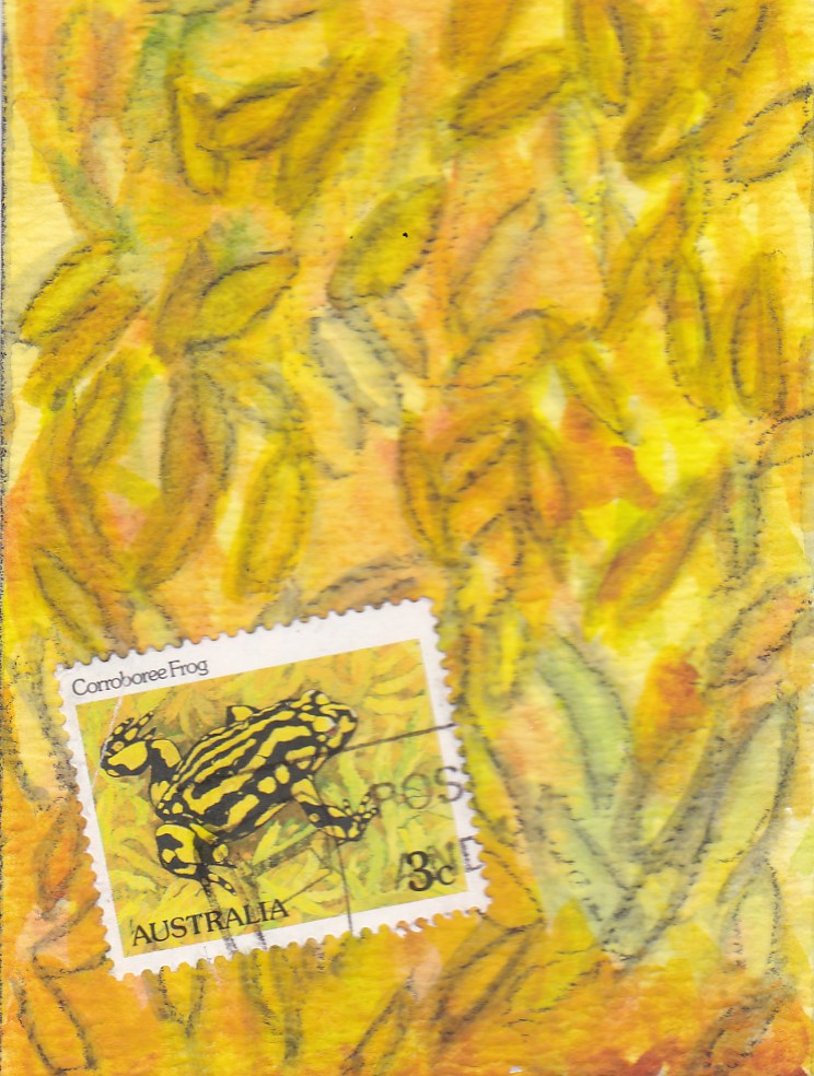 PS athon 5 yellow frog.jpg