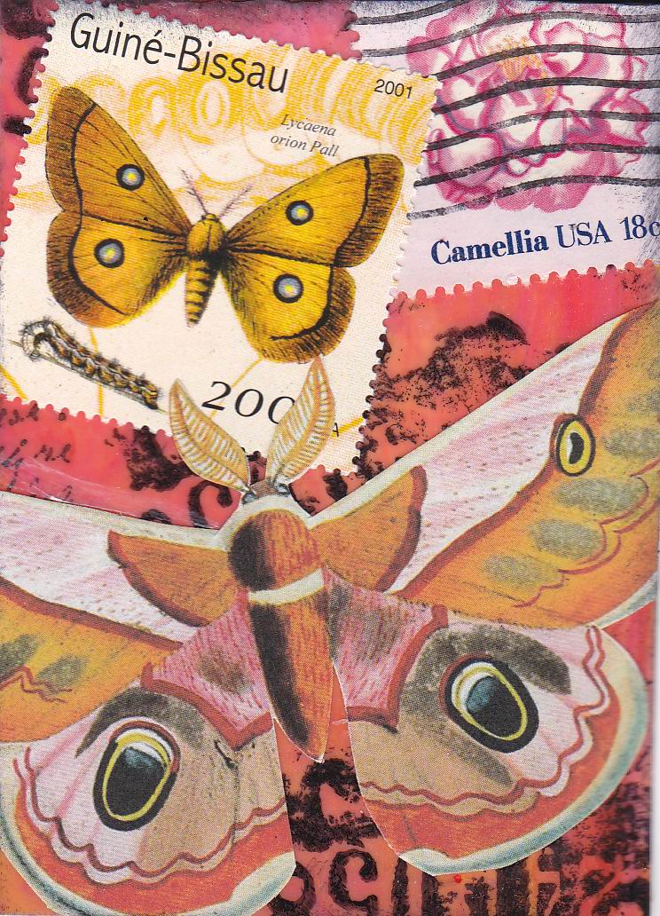 PS ATHON 7 orange butterflies on pink