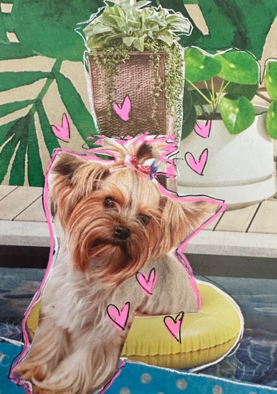 Puddin' Pop Goes Poolside