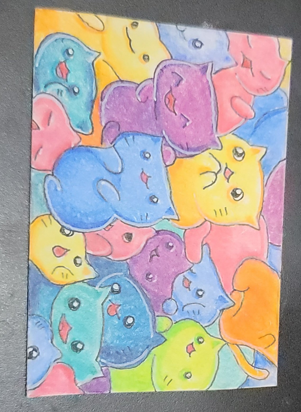rainbow cats