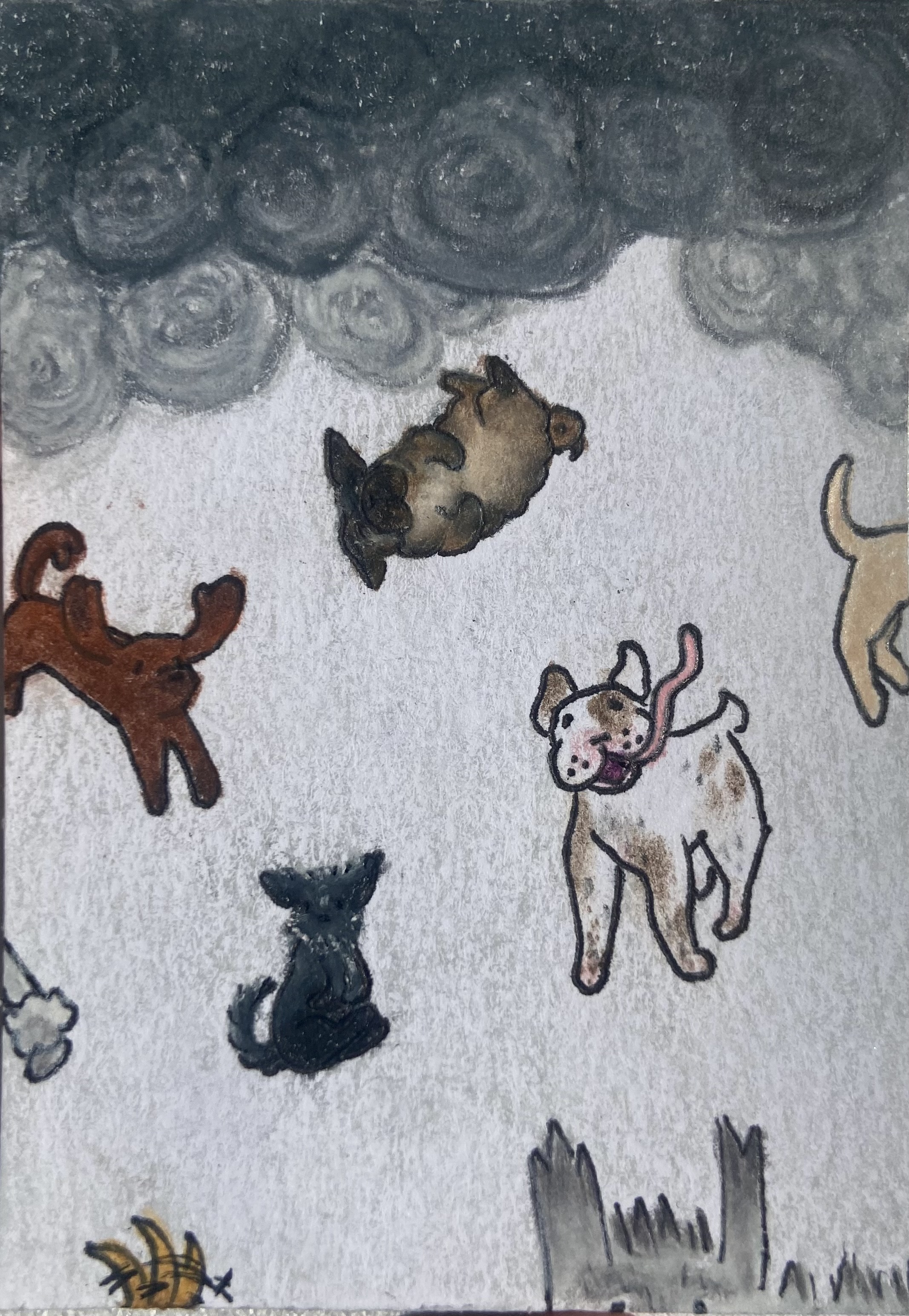 raining dogs&dogs