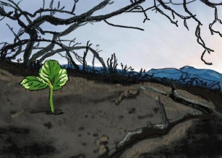 Rebirth - Digital Drawing