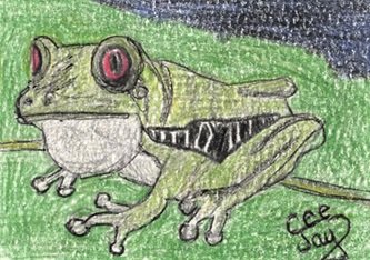 Red Eyed Tree Frog for wildholly