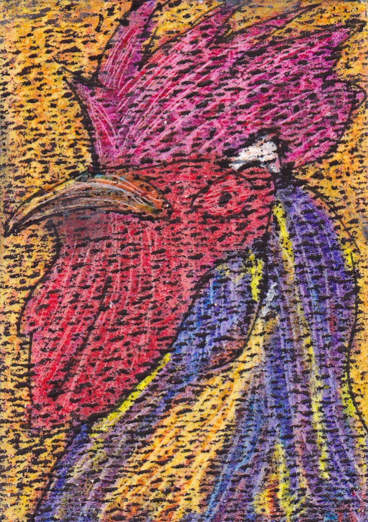 Roosters and Hens Swap