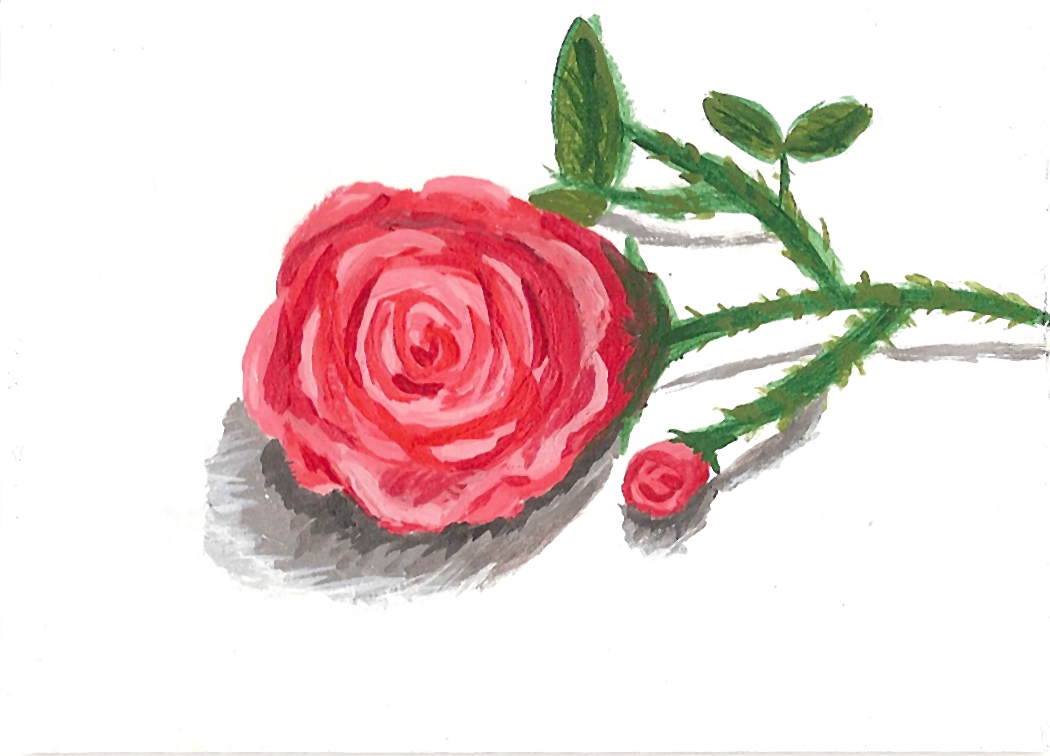 Rose