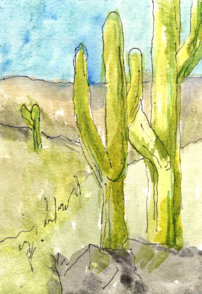 Saguaro Hills