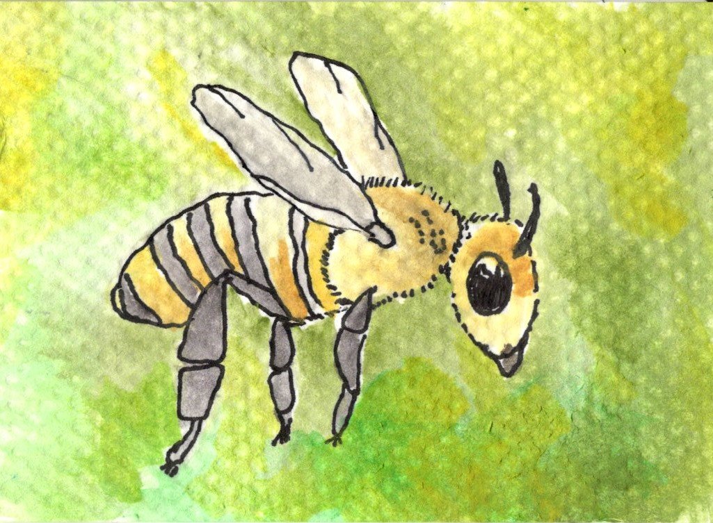 Save the Bees - Bee 2