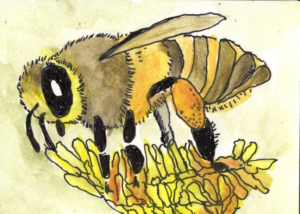 Save the Bees - Bee 4