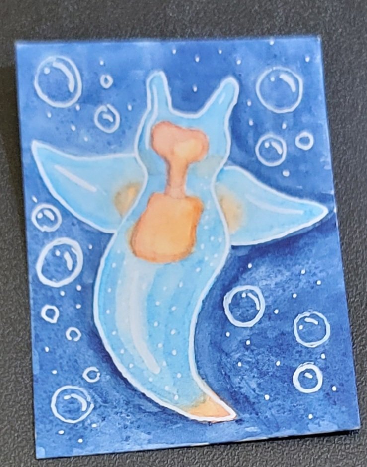 Sea Angel sea slug