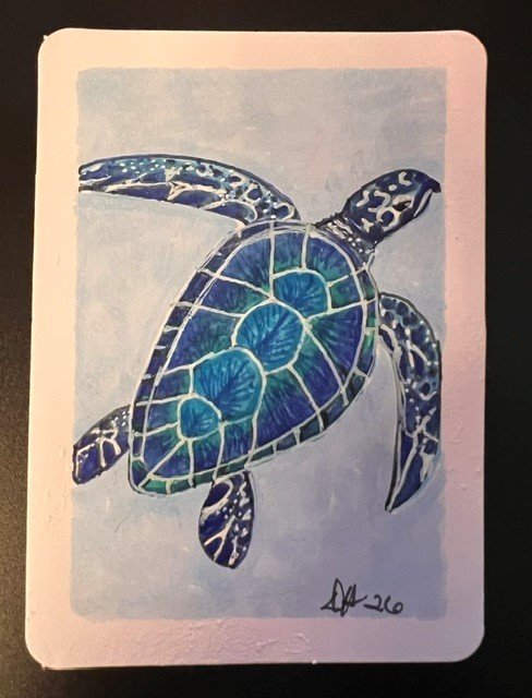 sea turtle.jpg