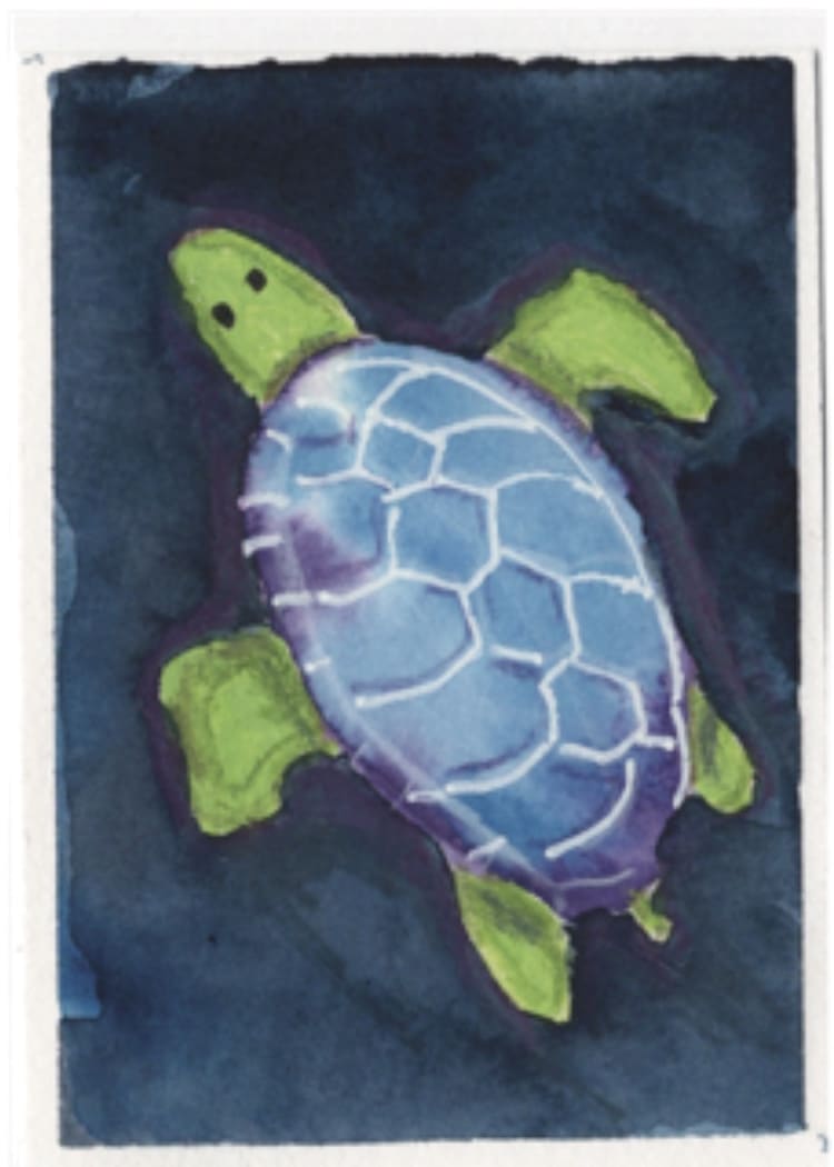 Sea turtle