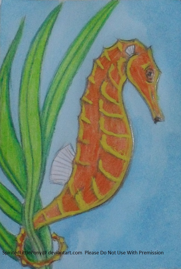 Seahorse- Favorite Animal Swap