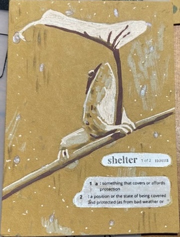 Shelter.jpeg