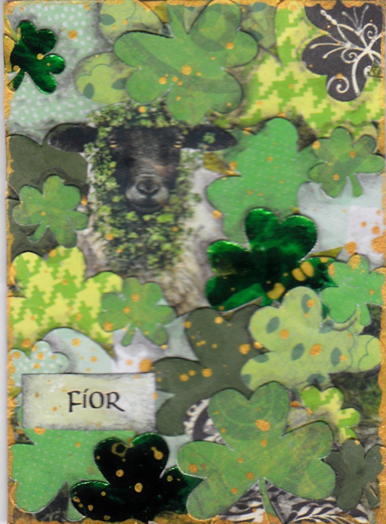 SP athon 03 sheep in shamrocks.jpg