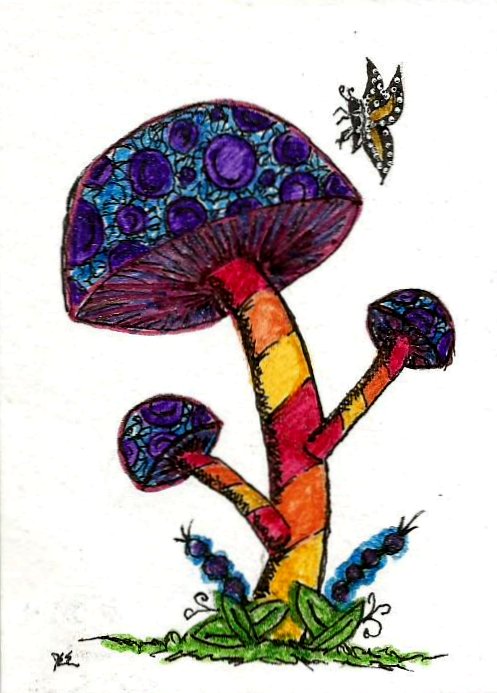 Sparkle Shrooms