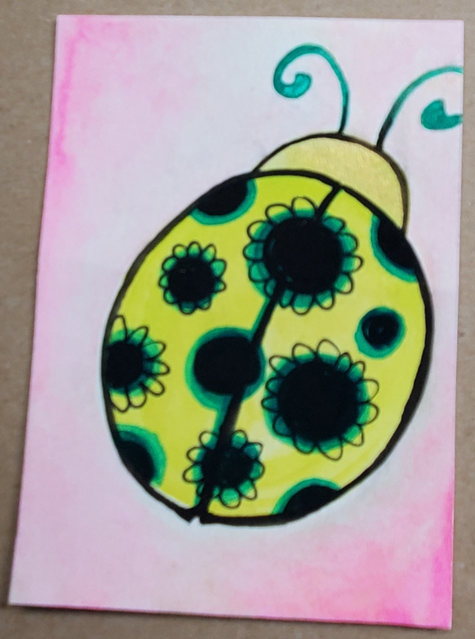 spring is here ladybug.jpg