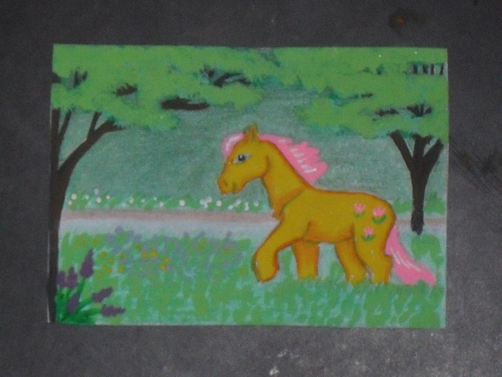 Spring Meadow