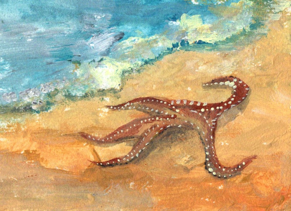 Starfish Swap