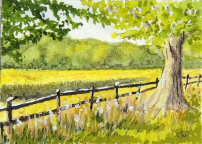 Summer Pasture