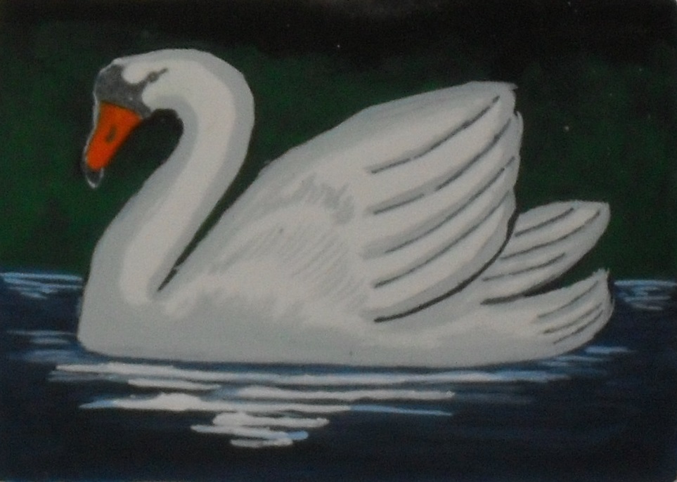 Swan